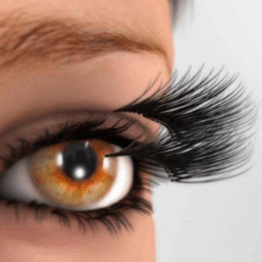 3D Magnetic Eyelashes